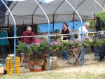 Vendor Market 1