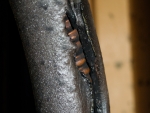 05 Burned insulation on pipe at water heater. Photo Jake Jakabosky