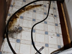 07 Diswasher hose fried. Photo Jake Jakabosky
