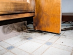 09 Dishwasher hose fried. Photo Jake Jakabosky