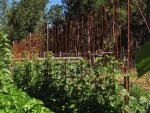 II Extra High Bean Trellis