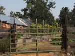 II Garden Gate