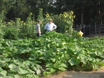 II Two Birders in the Garden