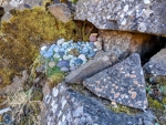 PXL_20211007_1657011332