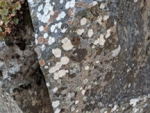 PXL_20211007_165756221