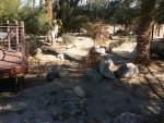 Garden Sculpture 5