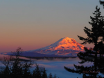 Mt-Adams-early-morning-off-Bluebird-Lane