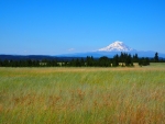 Scenic-Mt.-Adams-off-Whites-Ranch-Road