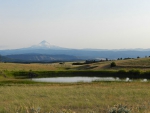 Spring photo - Mt. Hood from Hartand Rd