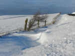 callendo_hartland_looking_n