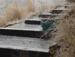 callendo_icy_stairway