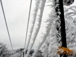 Winter detail. Photo Jake Jakabosky