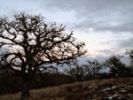 Winter sky drama. Photo: Kelly Blanchard
