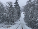 winter_High Meadow Drive
