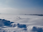 webBitter Cold - Glitter Snow with Animal Tracks, Peg Caliendo