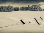 webFenceline Through the Snow, 2017, Virgil Harper