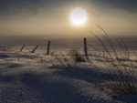 webFog Rising on Snow, 2017, Virgil Harper