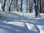 webFrom our House - Snowy Track, 2017, Nance Carter