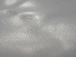webFrozen Forms I, Gwen Berry
