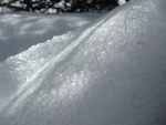 webFrozen Forms II, Gwen Berry