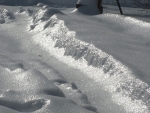 webFrozen Forms III