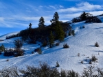 webGlaze ice hillside with animal tracks, Peg Caliendo