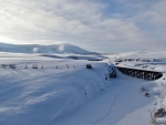 webSwale Canyon - Klickitat Trail - snow and animal tracks, Peg Caliendo