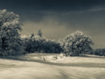 webWinter Day Tableau, 2017, Virgil Harper