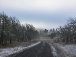 Winter - Christmas Day 2018 - Jocelyn Weeks