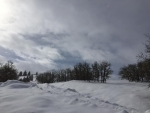 Winter sky 2 - 3-7-19 - Jocelyn Weeks