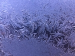Winter's frozen fireworks - 1-1-19 - Jocelyn Weeks